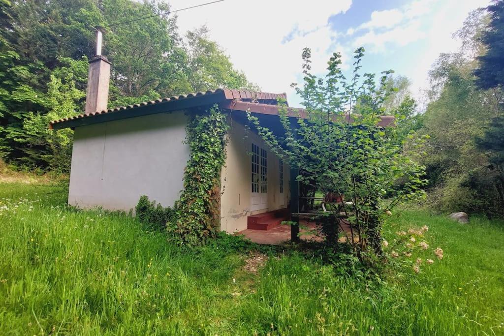 Abjat-sur-Bandiat Gite Rustique - Perigord Vert - La Collina 24300 מראה חיצוני תמונה